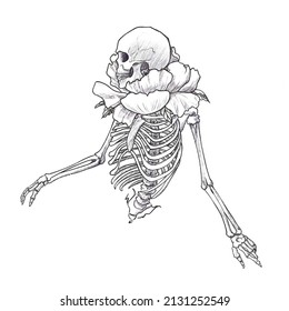 Antique Human Skeleton, Flower Bud As Collar