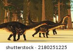 Apatosaurus Prehistoric Forest 3d illustration - A prehistoric forest during the Jurassic Age of North America dwarfs huge Apatosaurus sauropod dinosaurs.