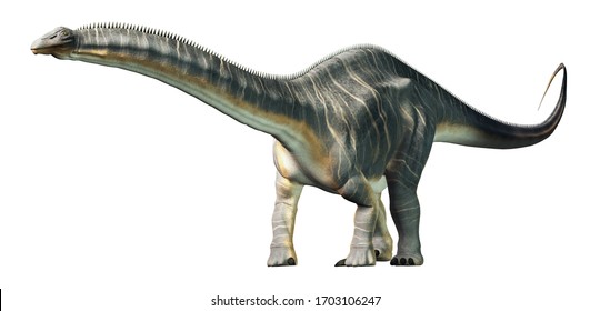 Apatosaurus war ein Sauropod-Dinosaurier. Als Herbivorde lebte er in der Spätjurassik-Zeit in Nordamerika. Auf weißem Hintergrund. 3D-Rendering