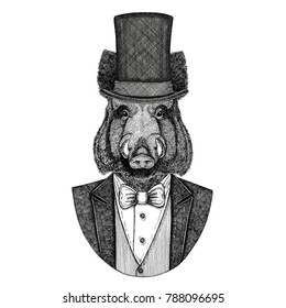 Aper, boar, hog, wild boar. Animal wearing jacket with bow-tie and silk hat, beaver hat, cylinder top hat. Elegant vintage animal. Image for tattoo, t-shirt, emblem, badge, logo, patch