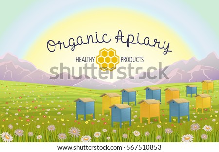 Similar – Image, Stock Photo honeybee Nature Animal