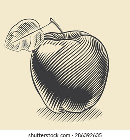 Apple Sign Scribble Icon You Design Stock Vector (Royalty Free) 348132110