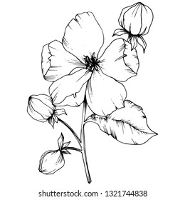 Hand Drawn Design Elements Sakura Flowers Stock Vector (Royalty Free ...