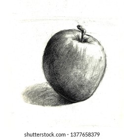 apple charcoal pencil drawing 