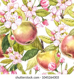 Apple flowers hand drawn seamless pattern watercolor illustration.