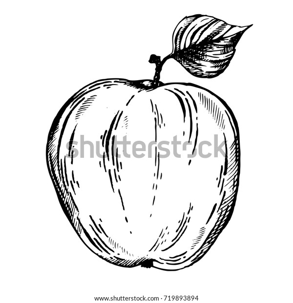 Apple Fruit Engraving Raster Illustration Scratch Stock Illustration ...