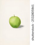 Apple (Malus Domestica) (1909) by W.L.Burn.  Vintage green apple art drawing, art print, old illustration, green apple fruit painting.