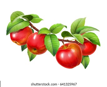 Apple on a branch  with leaves, isolated on white - Powered by Shutterstock