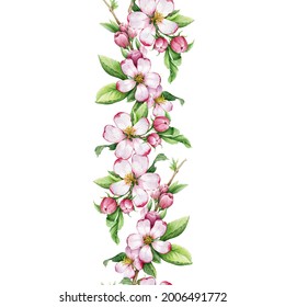 Apple Tree Flower Seamless Border. Watercolor Illustration. Hand Drawn Spring Floral Endless Border Element. Flowers And Green Leaves Decoration. Tender Pink Apple Blossoms On White Background