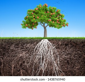 Apple Tree And Soil With Roots And Grass 3D Illustration