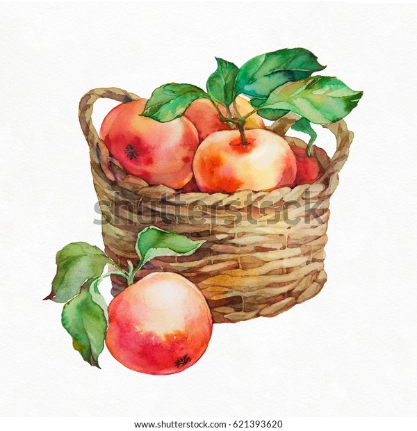 かごの中のリンゴ 白い背景に水彩イラスト のイラスト素材