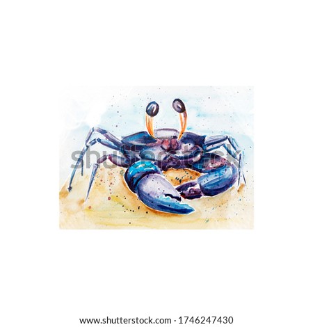 Aquarelle painting of crab sketch art illustration