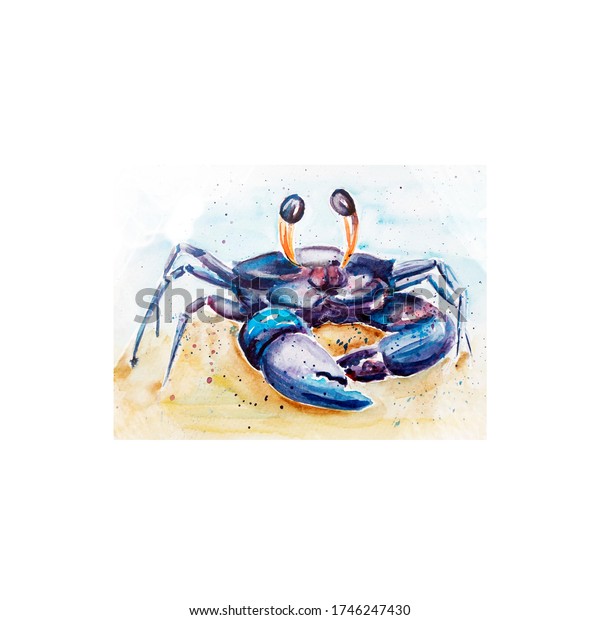Aquarelle\
painting of crab sketch art\
illustration