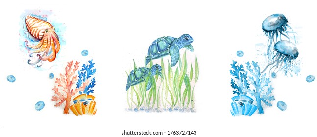 Aquarelle Painting Of Sea Animal Sketch Art Pattern Illustration