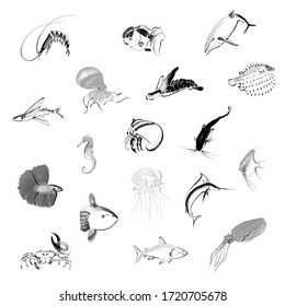 Aquatic Animals In Asian Chinese Japanese Ink Wash Painting Style On White Background