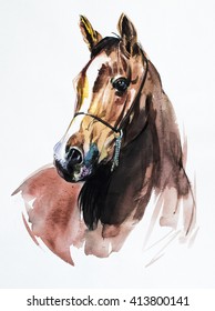 Arabian Horse - Painting