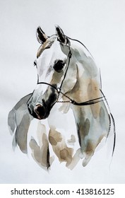 Arabian Horse - Painting