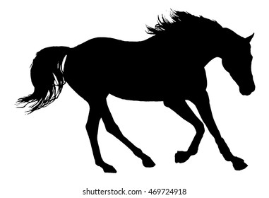 Arabian Horse Silhouette Stock Illustration 469724918