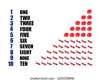 arabic numbers set and alphabet text with cartoon on white background,education concept.