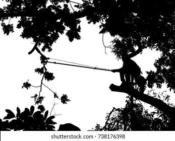 99 Climbing arborist Stock Illustrations, Images & Vectors | Shutterstock