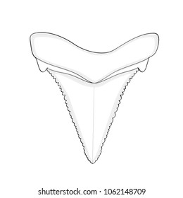 Archaeology, Ichthyology. Raster Illustration Of A Tooth Shark Isolated Object On White Background. Dental, Medicine And Fish.