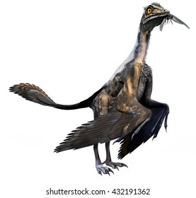 Archaeopteryx 3d Illustration Stock Illustration 432191362 | Shutterstock