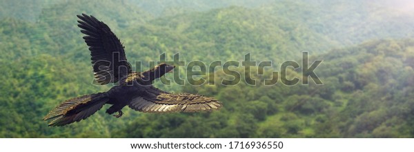 Archaeopteryx, bird-like\
dinosaur from the Late Jurassic period flying over the forest (3d\
illustration\
banner)