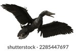 Archaeopteryx, prehistoric birdlike dinosaur, isolated on white background, 3d paleoart rendering