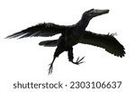 Archaeopteryx, prehistoric birdlike dinosaur, isolated on white background, 3d paleoart render   