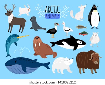 Arctic animals  Cute animal set Arctic Alaska illustration for education  penguin   polar bear  fox   reindeer isolated white background
