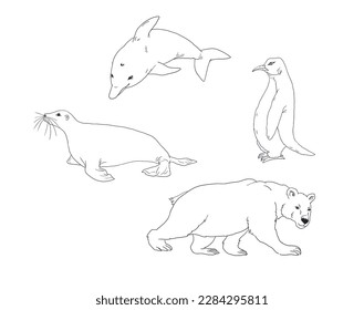Arctic animals  dolphin  seal  penguin  polar bear  black drawing white background