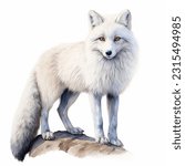 The Arctic fox has incredibly thick fur that changes colour with the seasons, allowing it to blend seamlessly into its snowy surroundings.