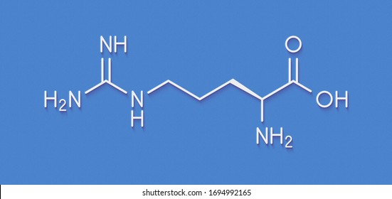 Arginine Larginine Arg R Amino Acid Stock Illustration 1694992165 3293