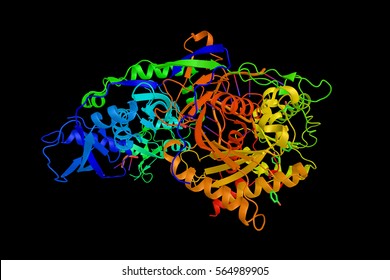 Argonaute-2 (3d Model), A Part Of The Argonaute Protein Family, Which Plays A Central Role In RNA Silencing Processes. Essential Components Of The RNA-induced Silencing Complex (RISC).