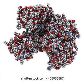 Argonaute-2 (human) Enzyme. Part Of The RISC Complex And Plays Role In RNA Interference (RNAi). 3D Illustration. Atoms Shown As Spheres With Conventional Color Coding.