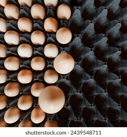 An array of meticulously placed brown eggs in a dark tray, showcasing an essence of farm freshness, healthy eating, and culinary necessity. Perfect for nutrition-focused and culinary themes.