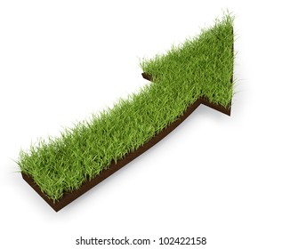 An Arrow Made Out Of A Patch Of Grass