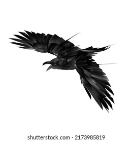 Art Black Raven. Bird Flying Top View On White Background