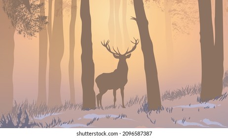 Art Deer Animal Forest Beautiful