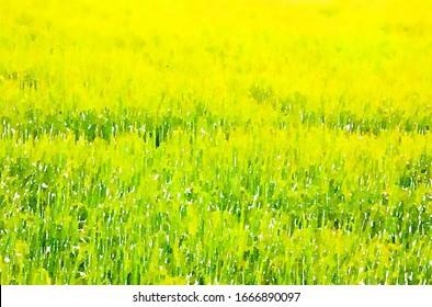 Art Watercolor Of Rice Field