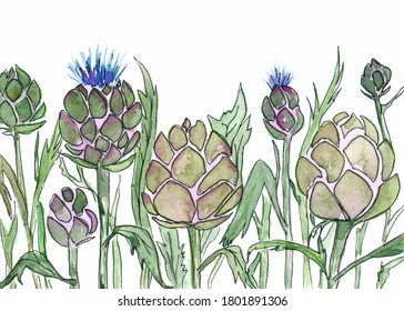 Artichoke in the field - Watercolor illustration