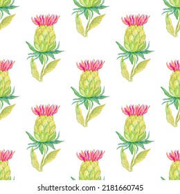 Artichoke Plant Seamless Pattern Illustration Isolated On White Background. Watercolor Flower Botanical Painting.