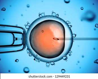 Artificial Insemination