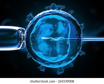 artificial insemination cell under the microscope