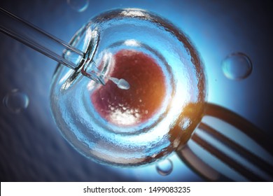 Artificial Insemination. Fertilization Of Human Egg Cell By Sperm. IVF In Vitro Fertilization. 3d Illustration