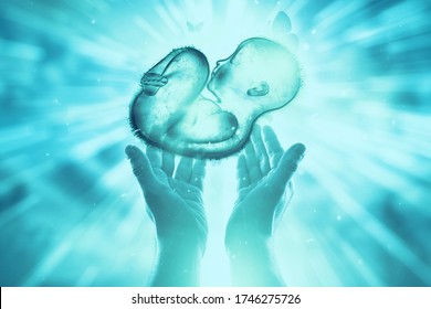 Artificial Insemination, On The Hand. Child In The Fetal Position, Embryo. Pregnancy Concept,, Medical Examination, Future Of Medicine