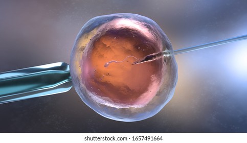 Artificial insemination or in vitro fertilization. 3D illustration
