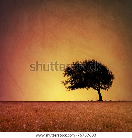 Similar – Image, Stock Photo Emotions | a day comes to an end. Tree silhouette in evening light