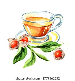 Ashwagandha Or Indian Ginsengherbal Tea. Hand Drawn Watercolor Illustration  Isolated On White Background