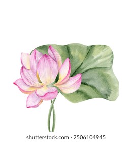 Asian lotus flower with green leave illustration. Water lily floral bouquet with blooming botanical element, elegant petals for health and body care center poster design. Wedding invitation, greeting - Powered by Shutterstock